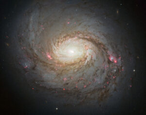 IceCube finds evidence of neutrino emission from NGC1068